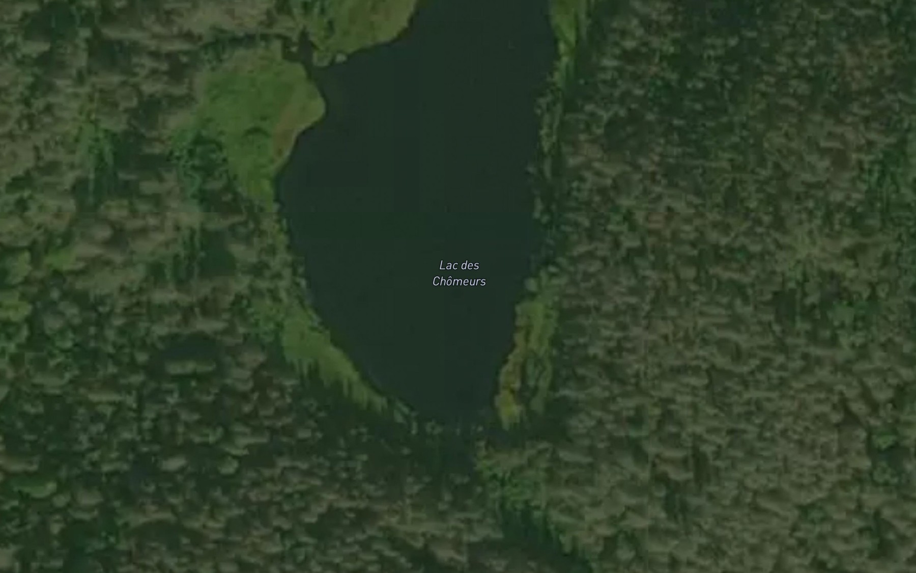 Satellite map of the Lac des Chomeurs