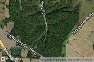 Vinsons Mill Springs