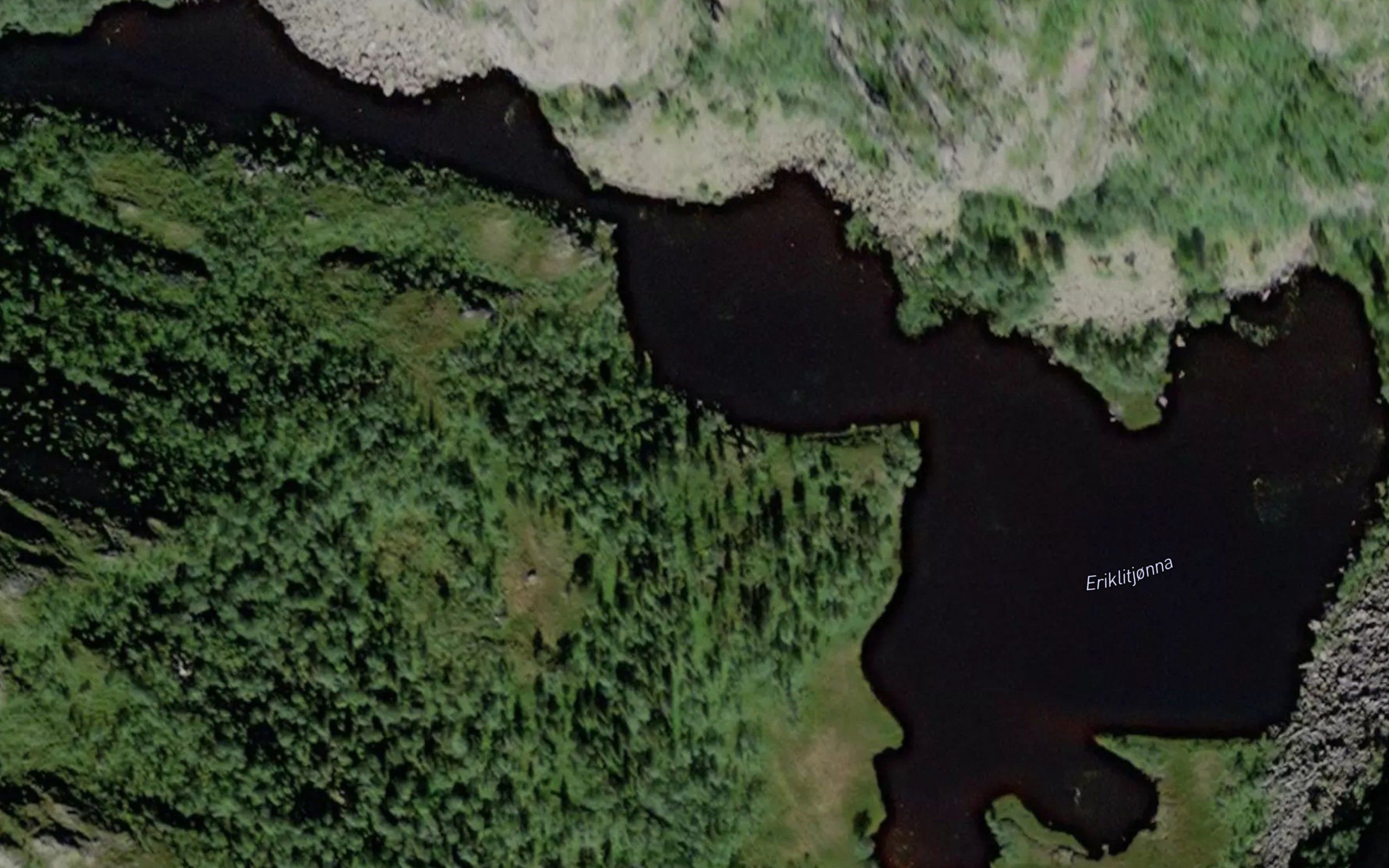 Eriklitjorna