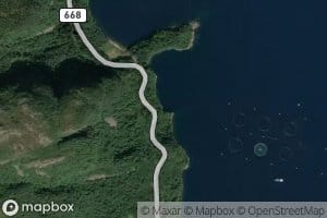 Midtvika