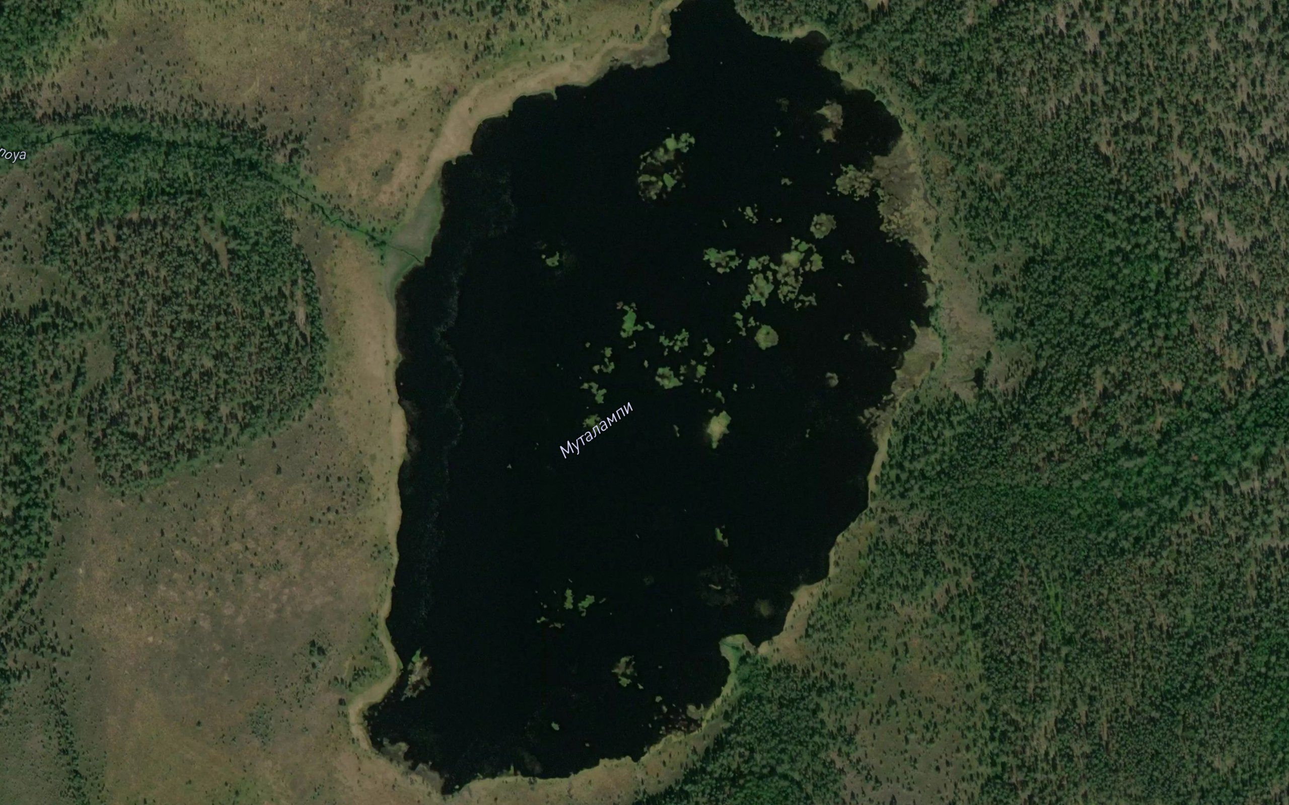 Ozero Mustalampi