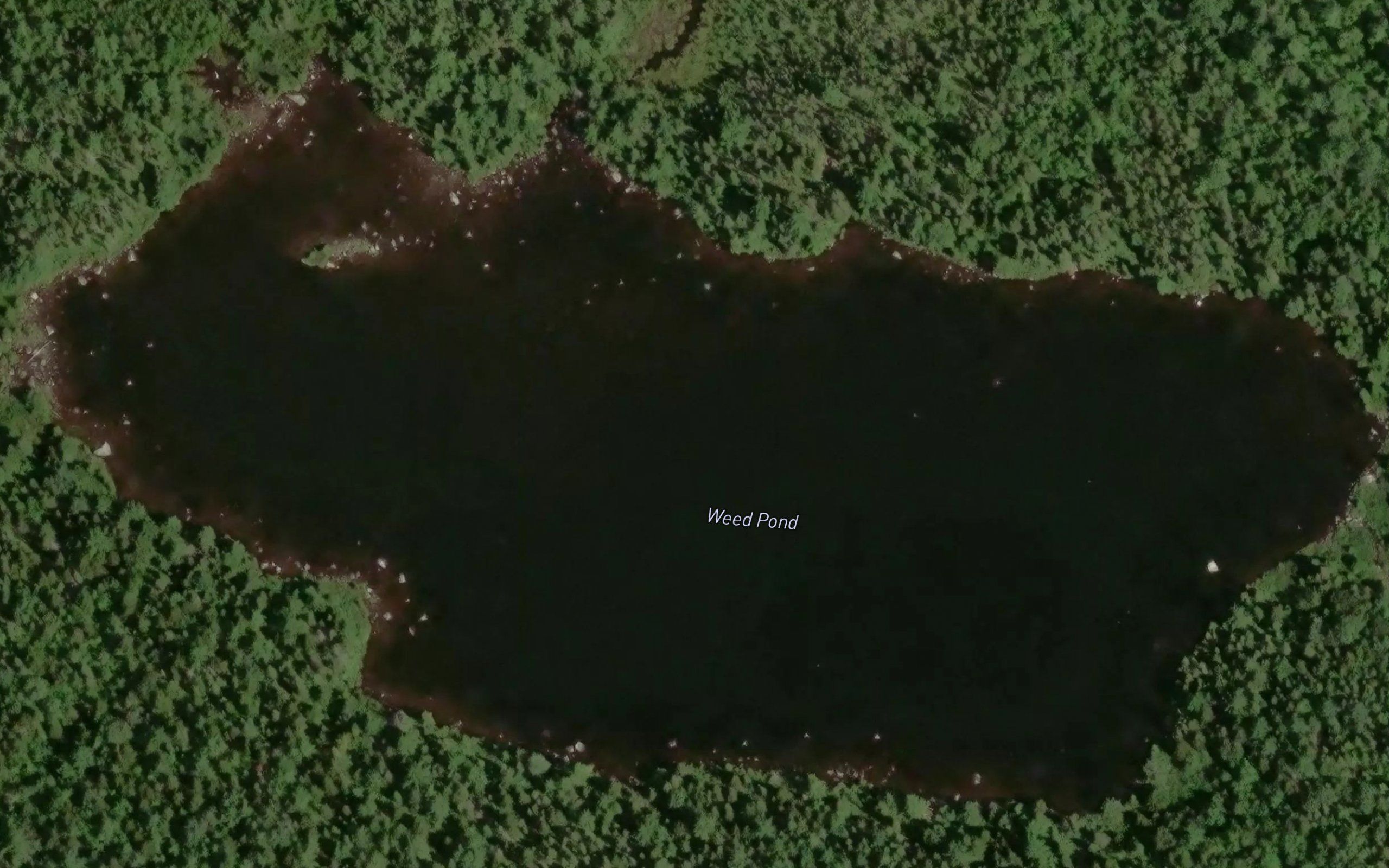 Weed Pond