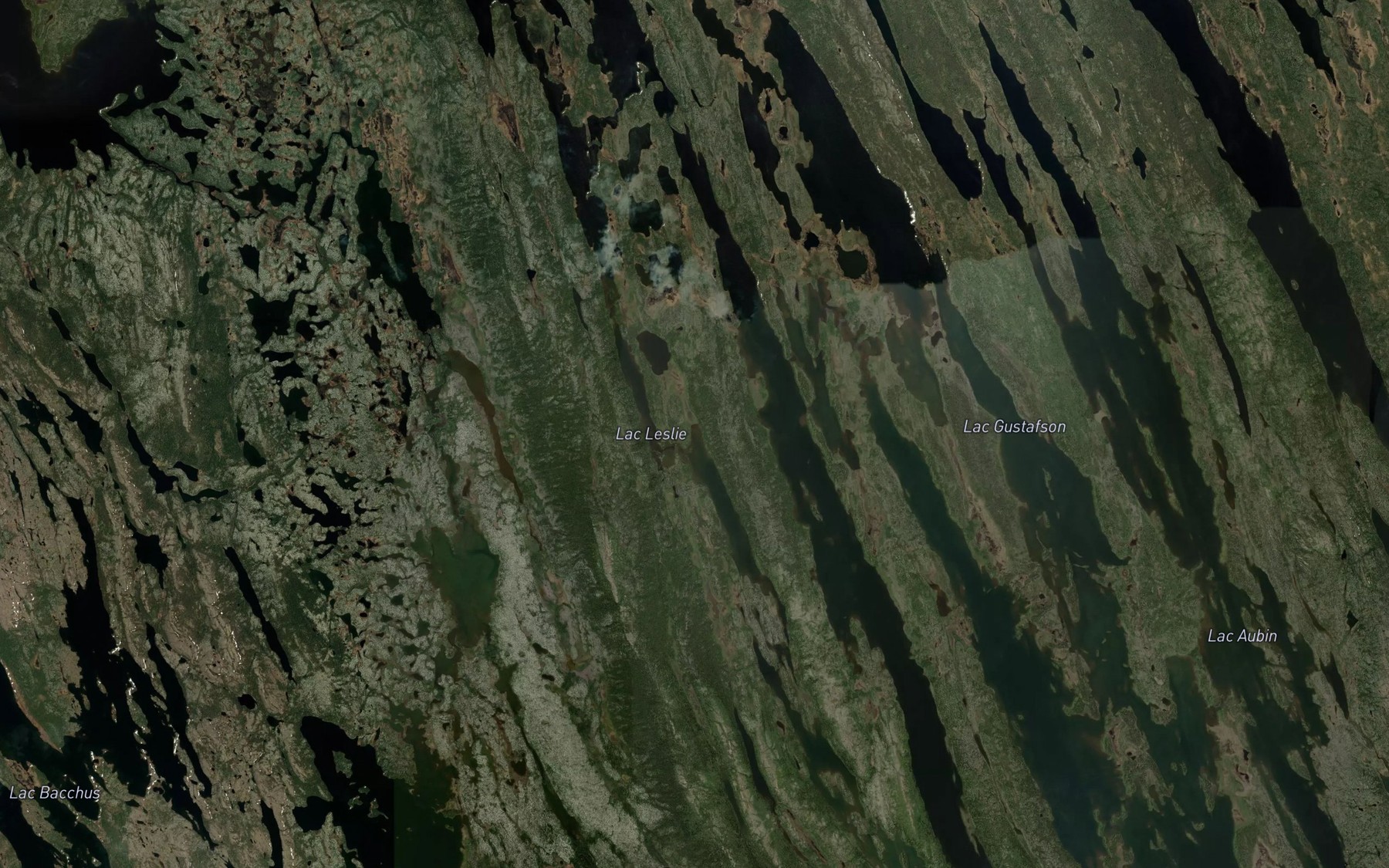 Satellite map of the Lac Leslie