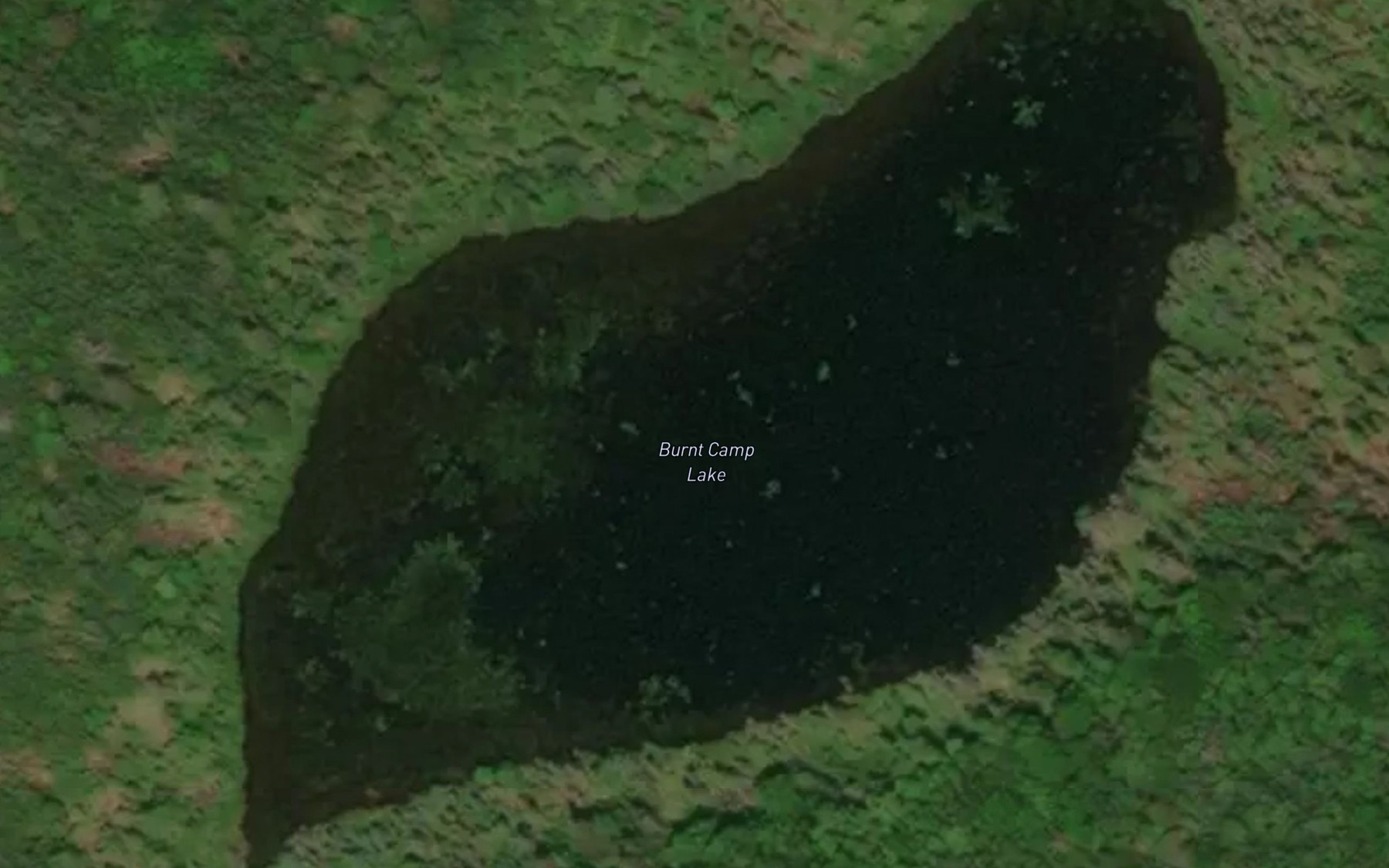 Satellite map of the Burnt Camp Lake