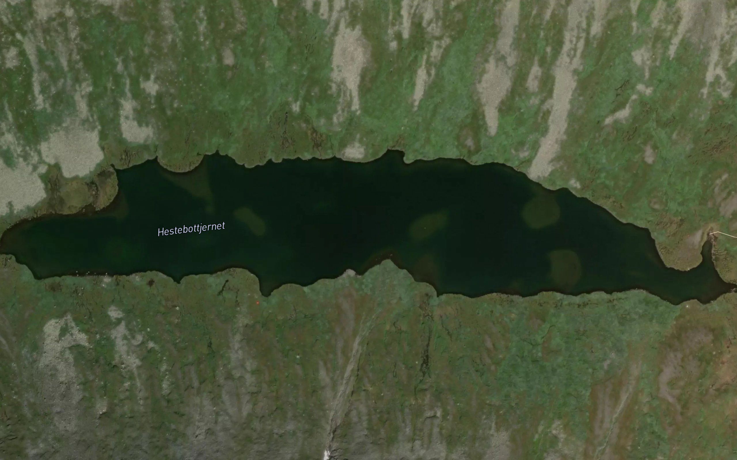 Hestebottjednet