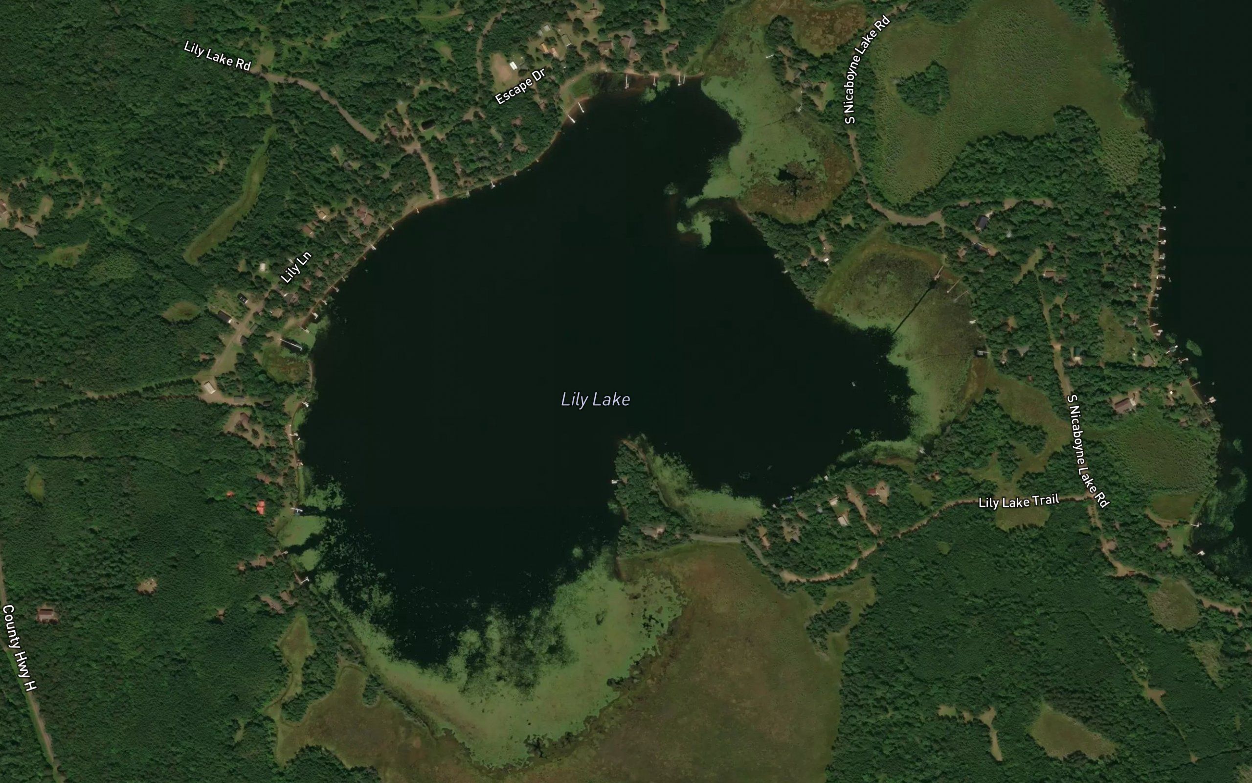 Lily Lake