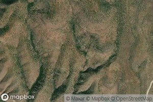 Yellow Jacket Spring