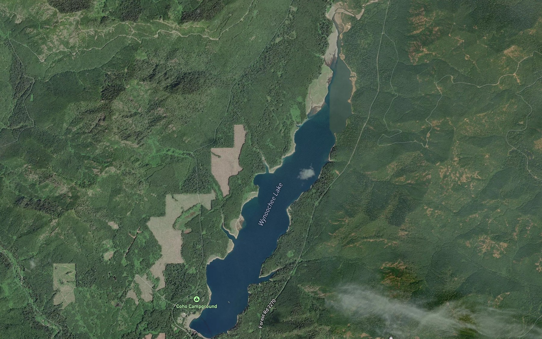 Satellite map of the Wynoochee Lake