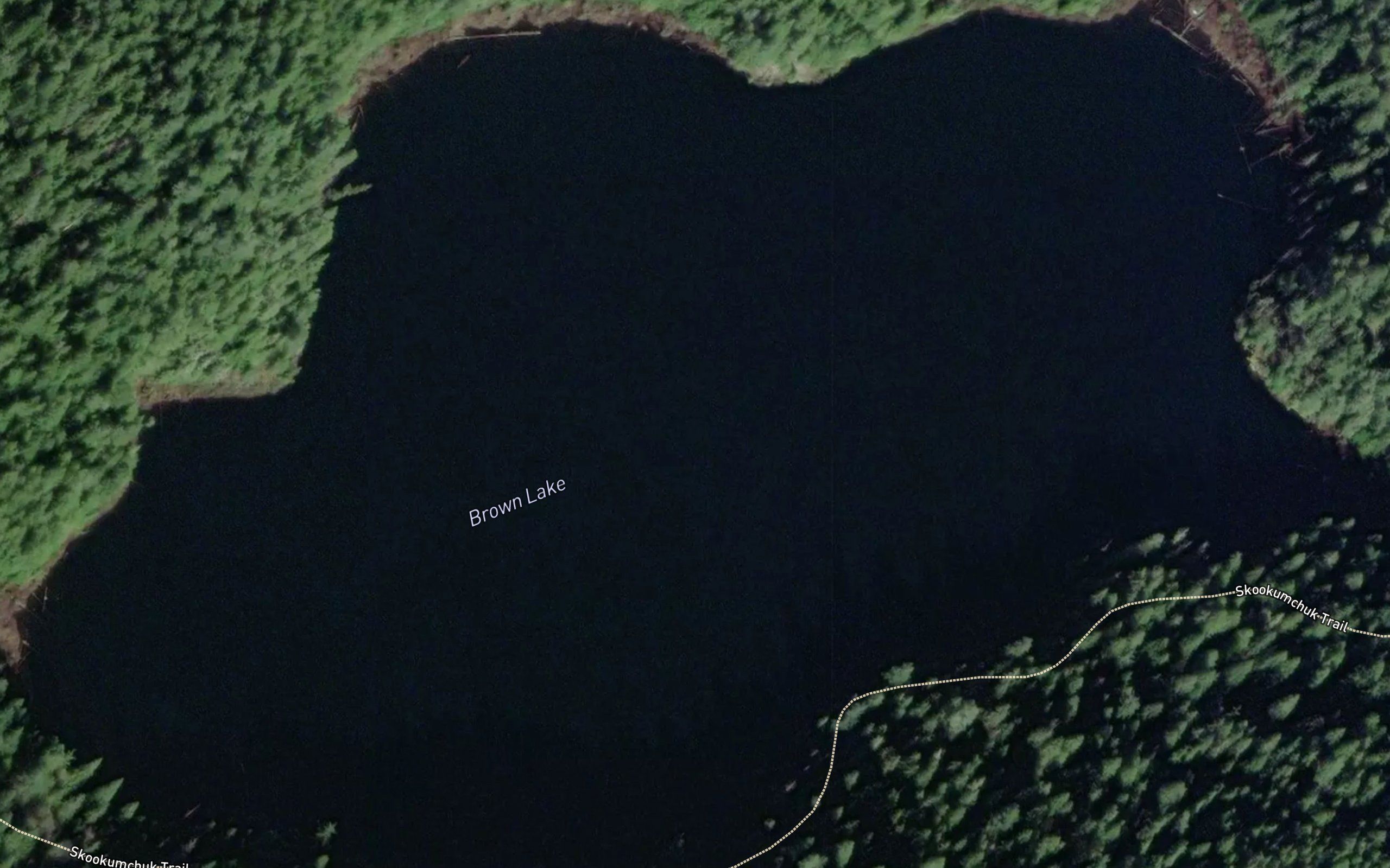 Brown Lake