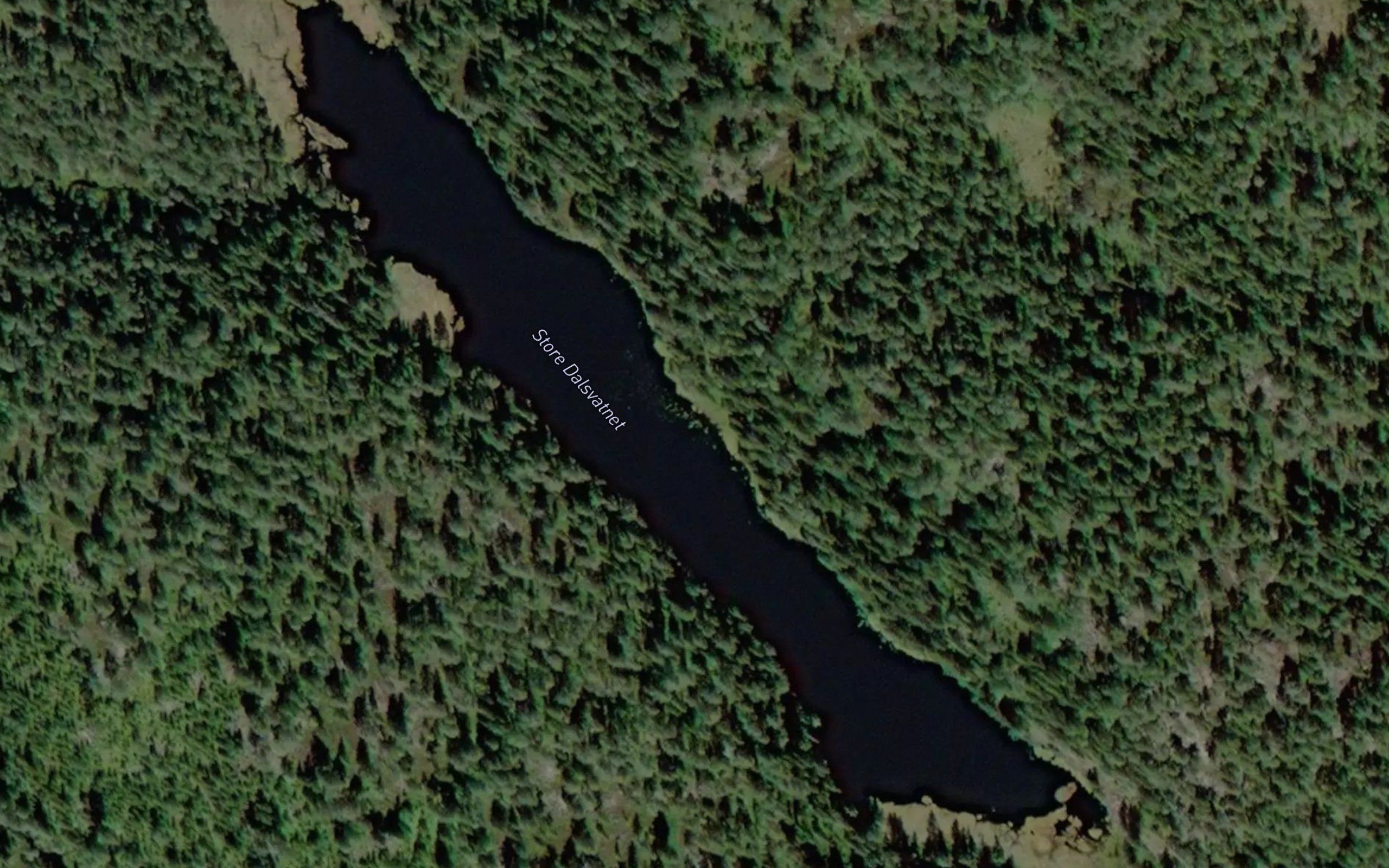 Dalsvatnet,store