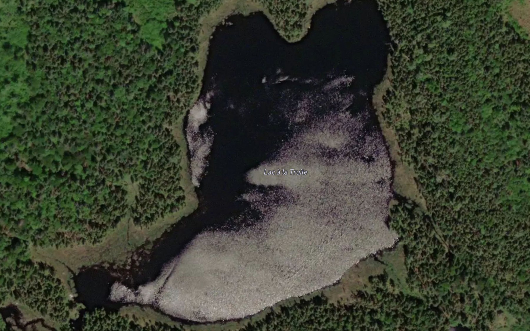 Satellite map of the Lac a la Truite