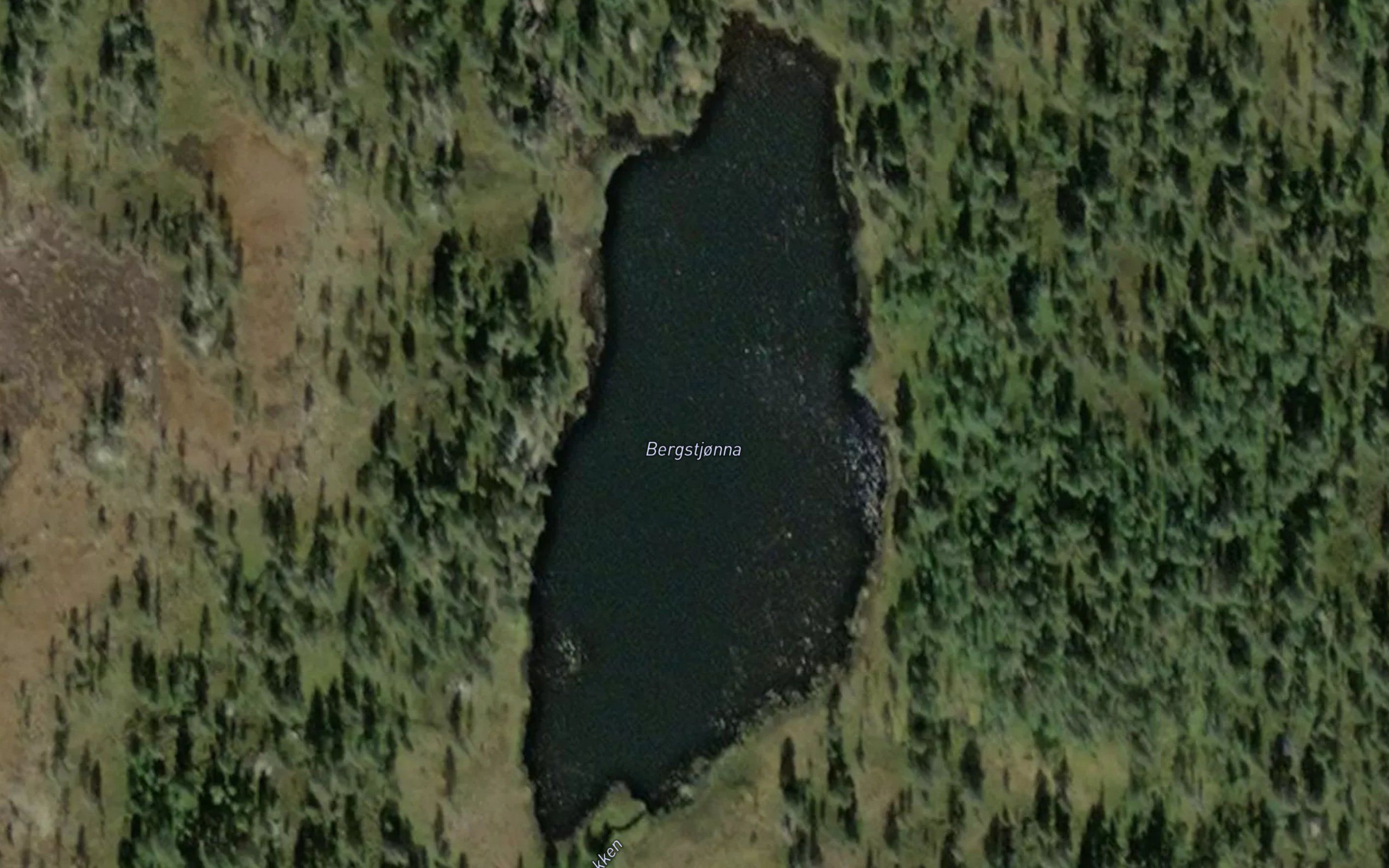 Bergstjorna