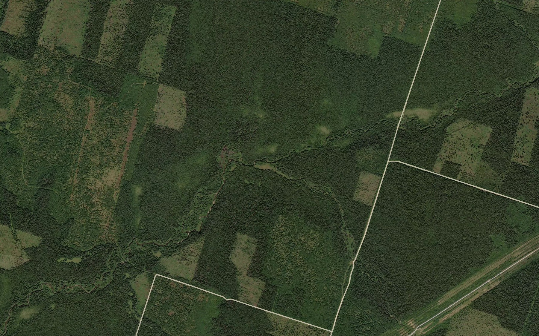 Satellite map of the Pal'nichnaya