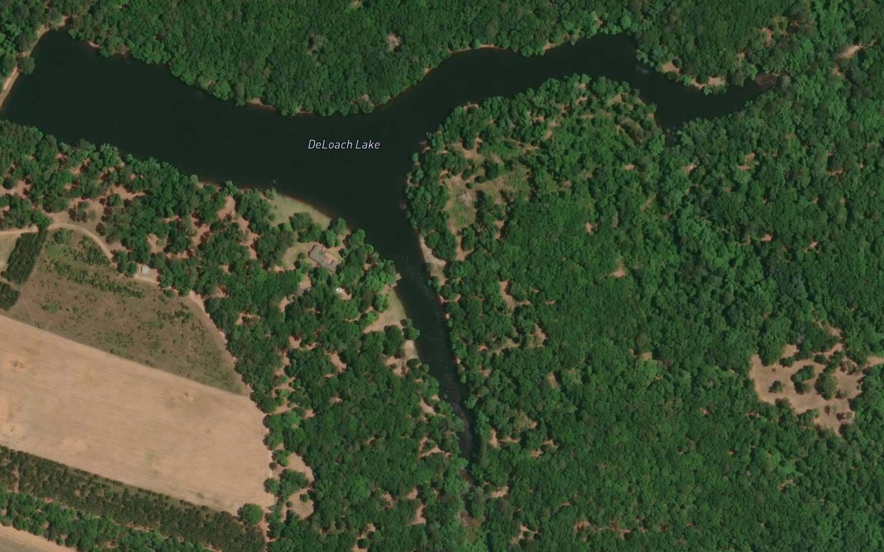 Satellite map of the DeLoach Lake