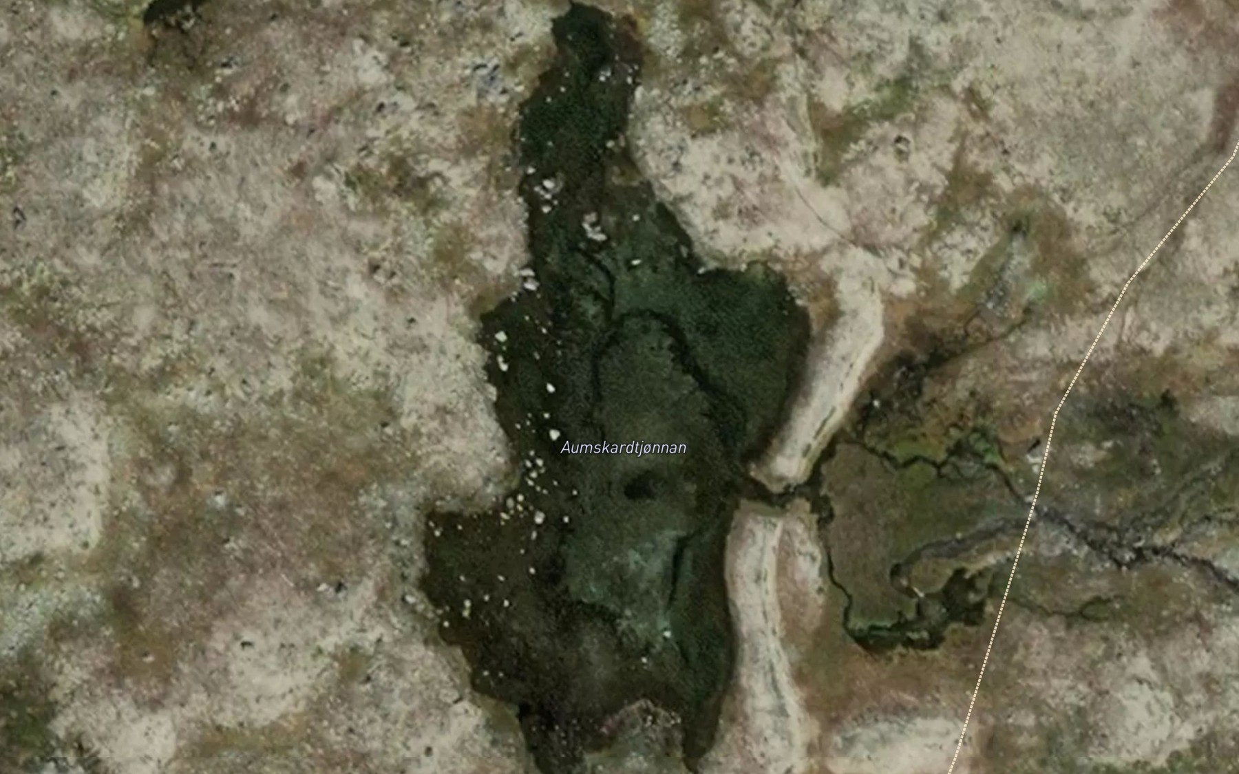 Satellite map of the Aumskardtjornane