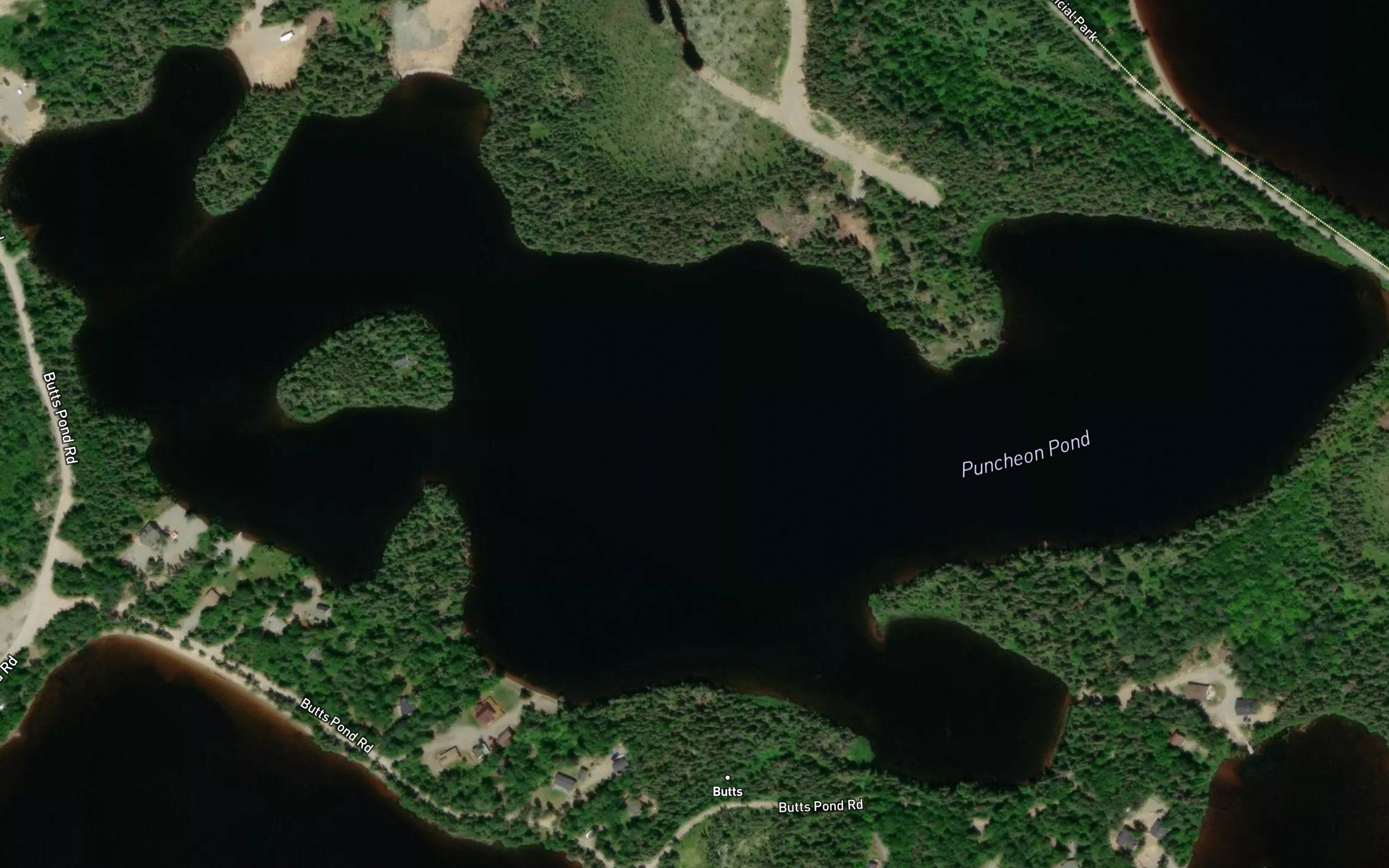 Puncheon Pond