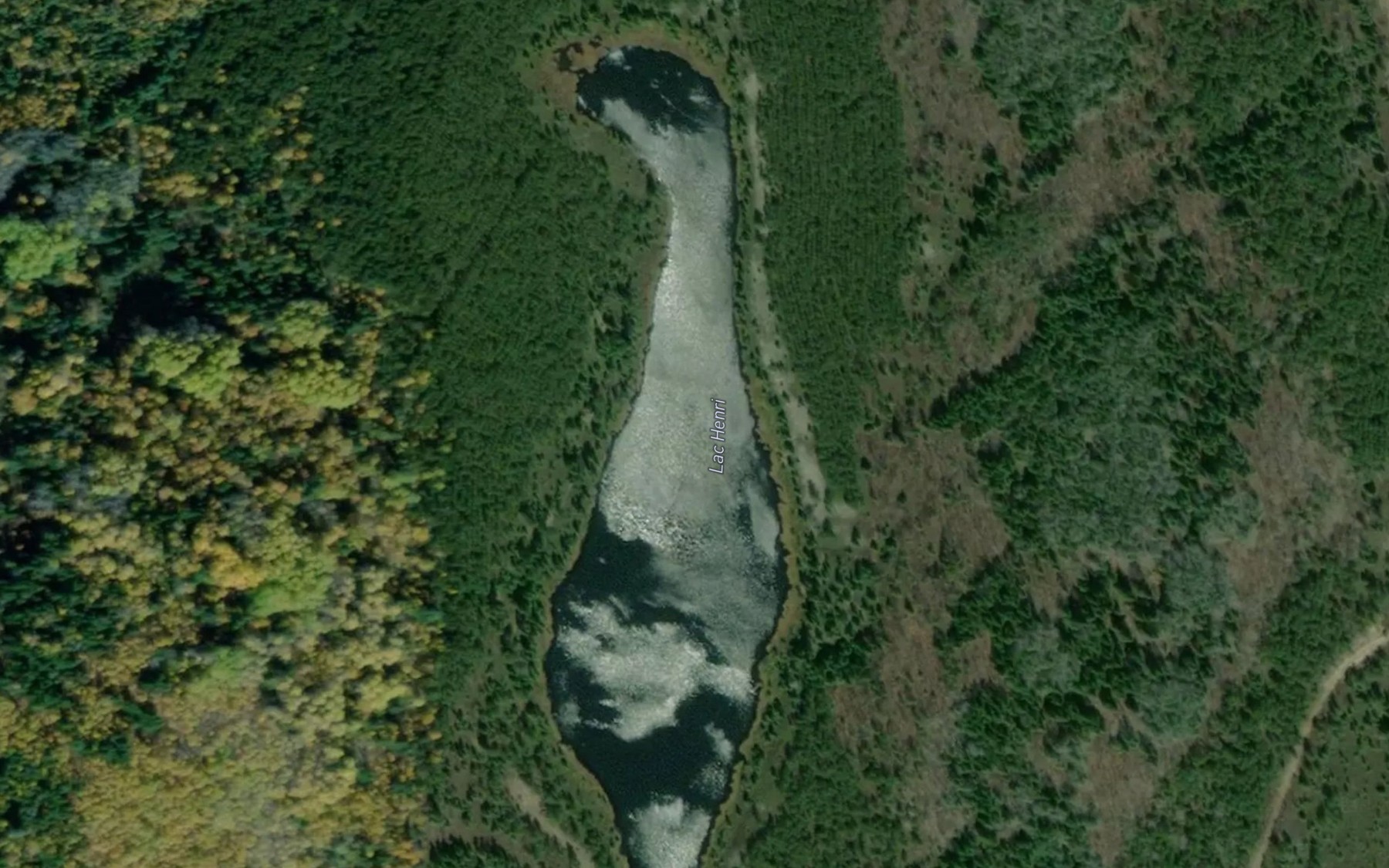 Satellite map of the Lac Henri
