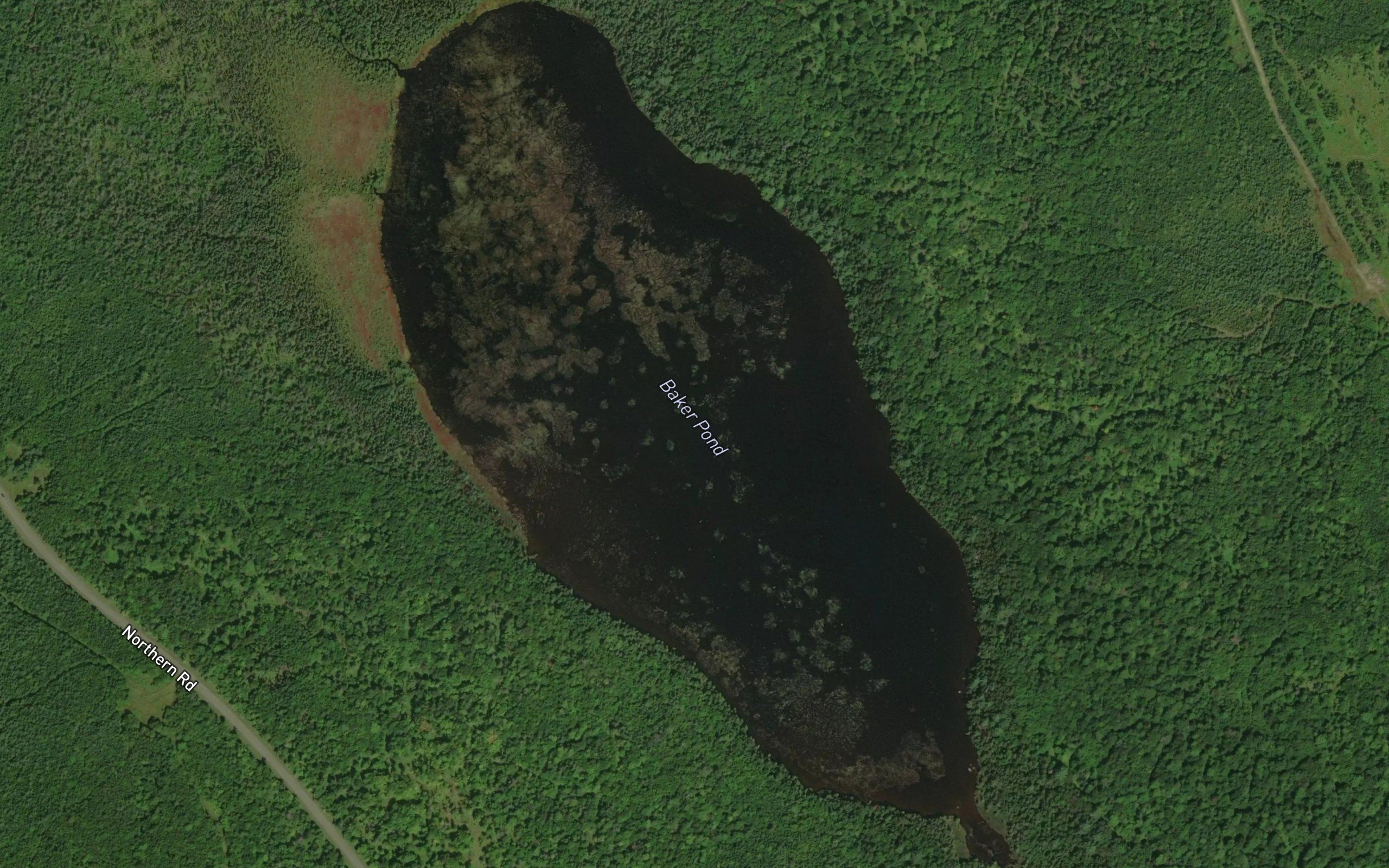 Baker Pond