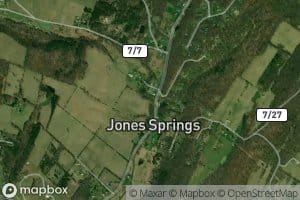 Kees Spring