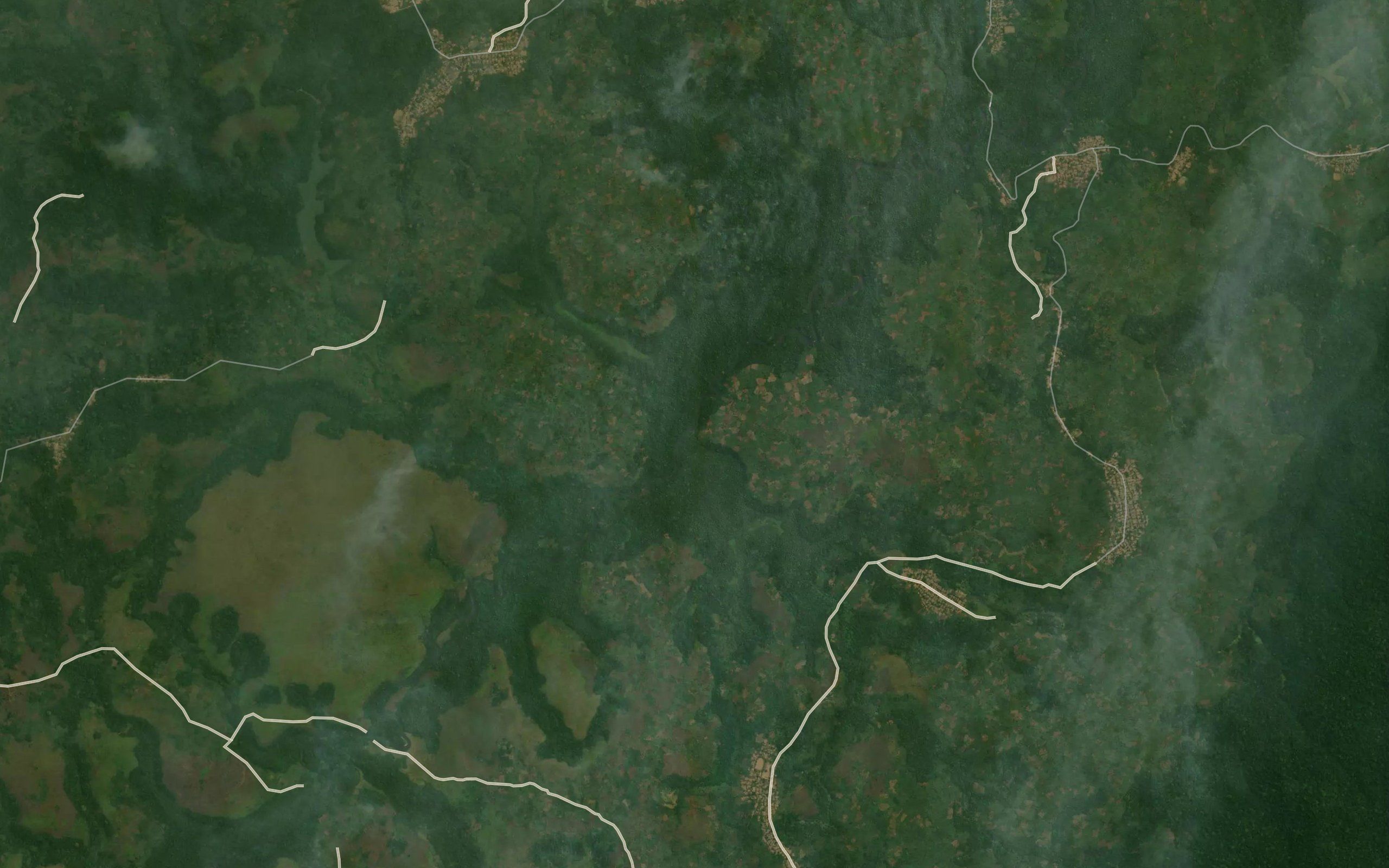Pungu