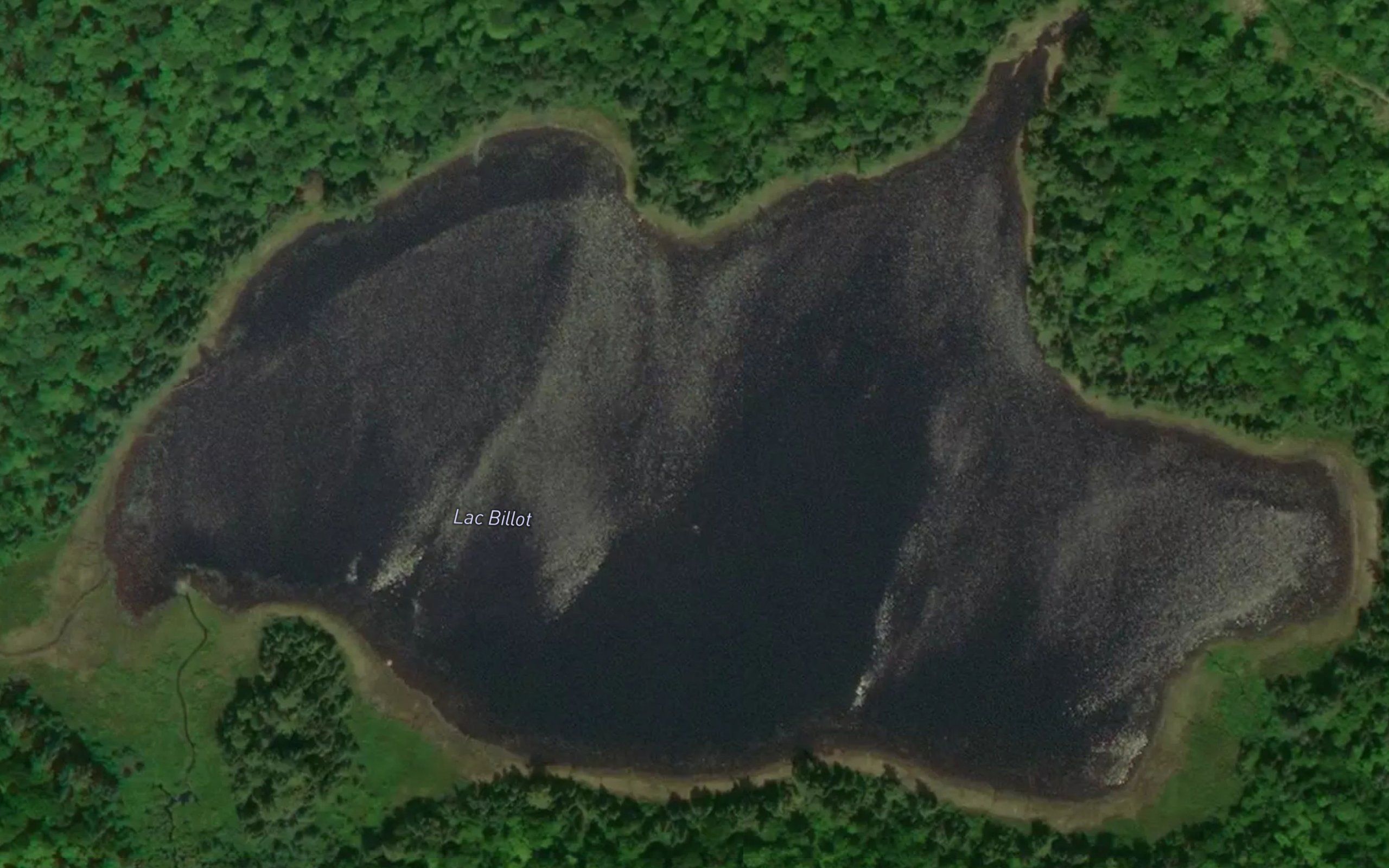 Lac Billot