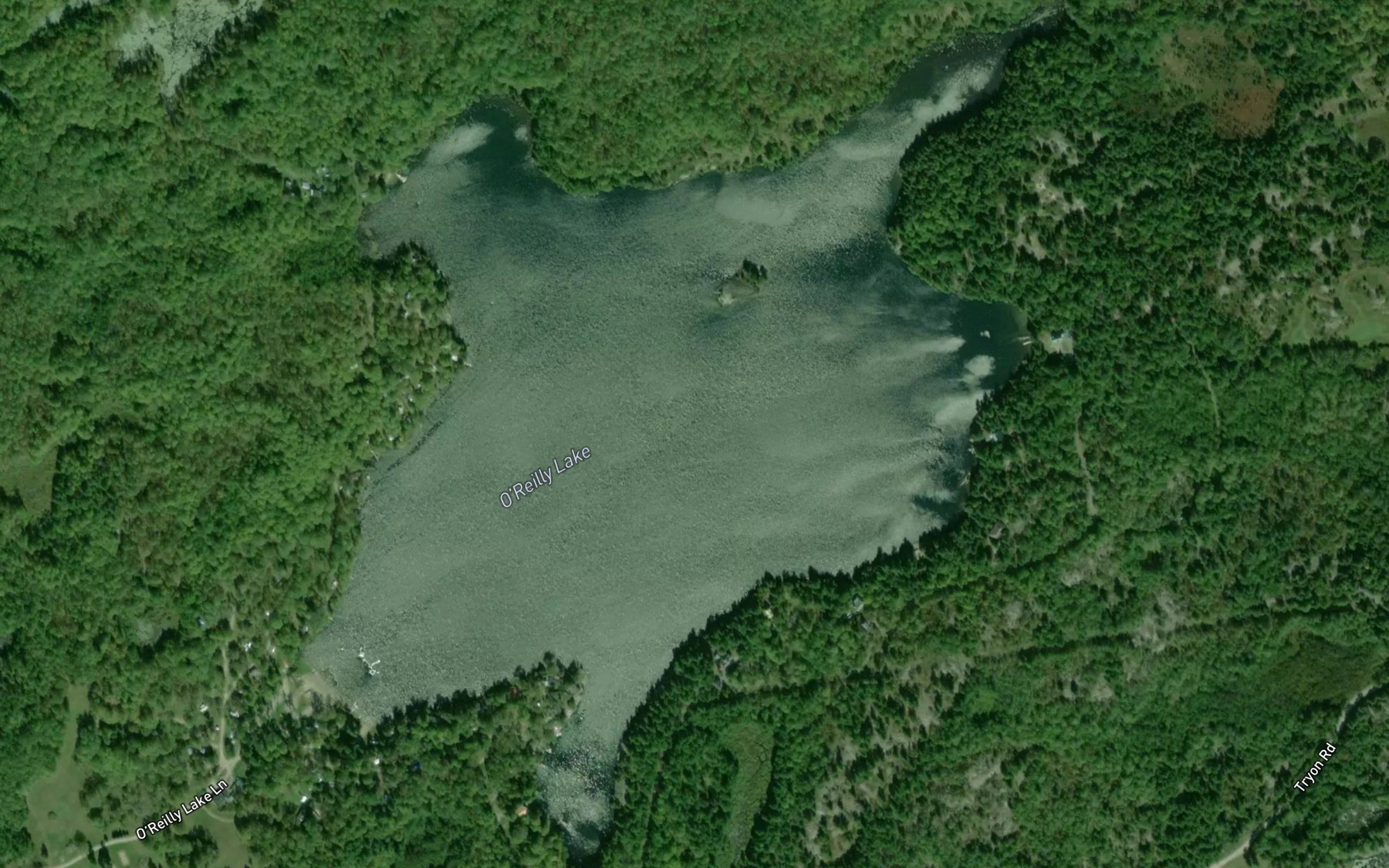 Satellite map of the O'Reilly Lake