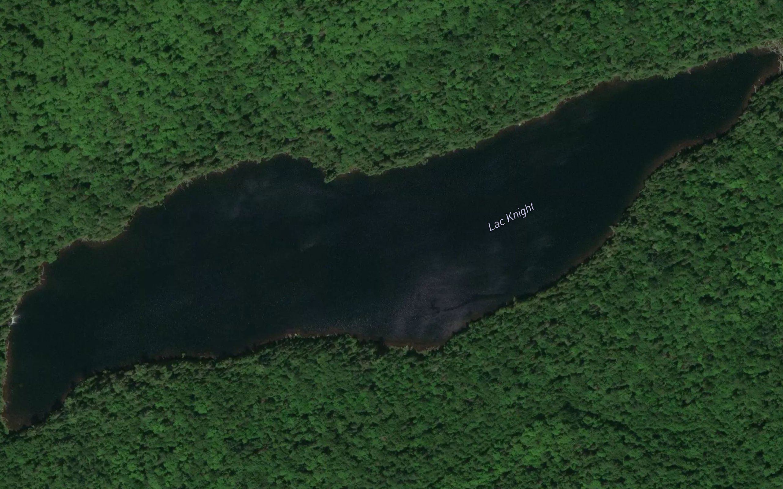 Lac Knight
