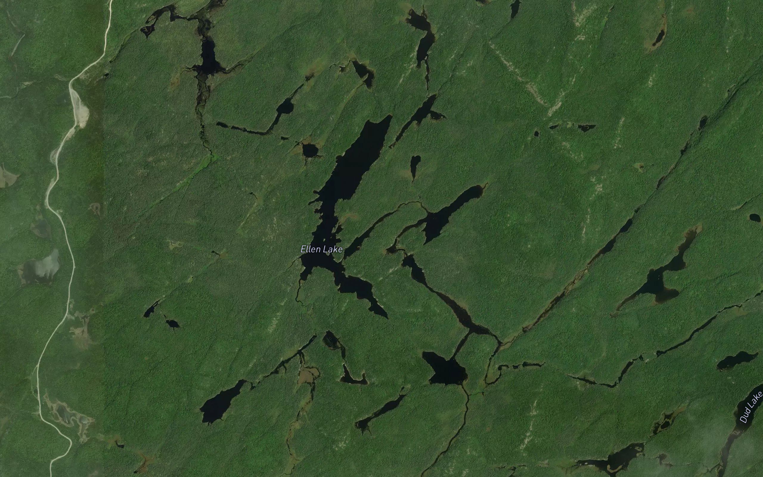 Ellen Lake