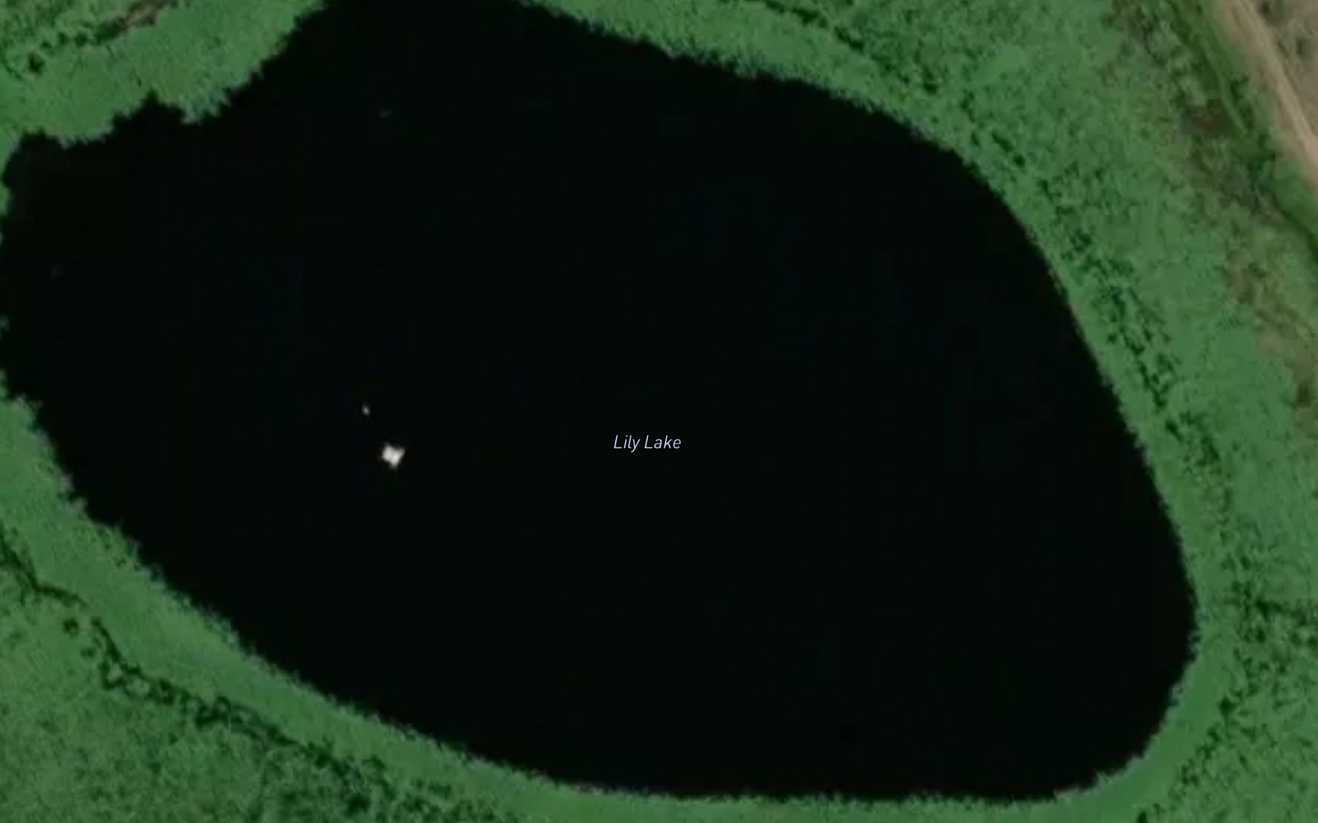 Lily Lake