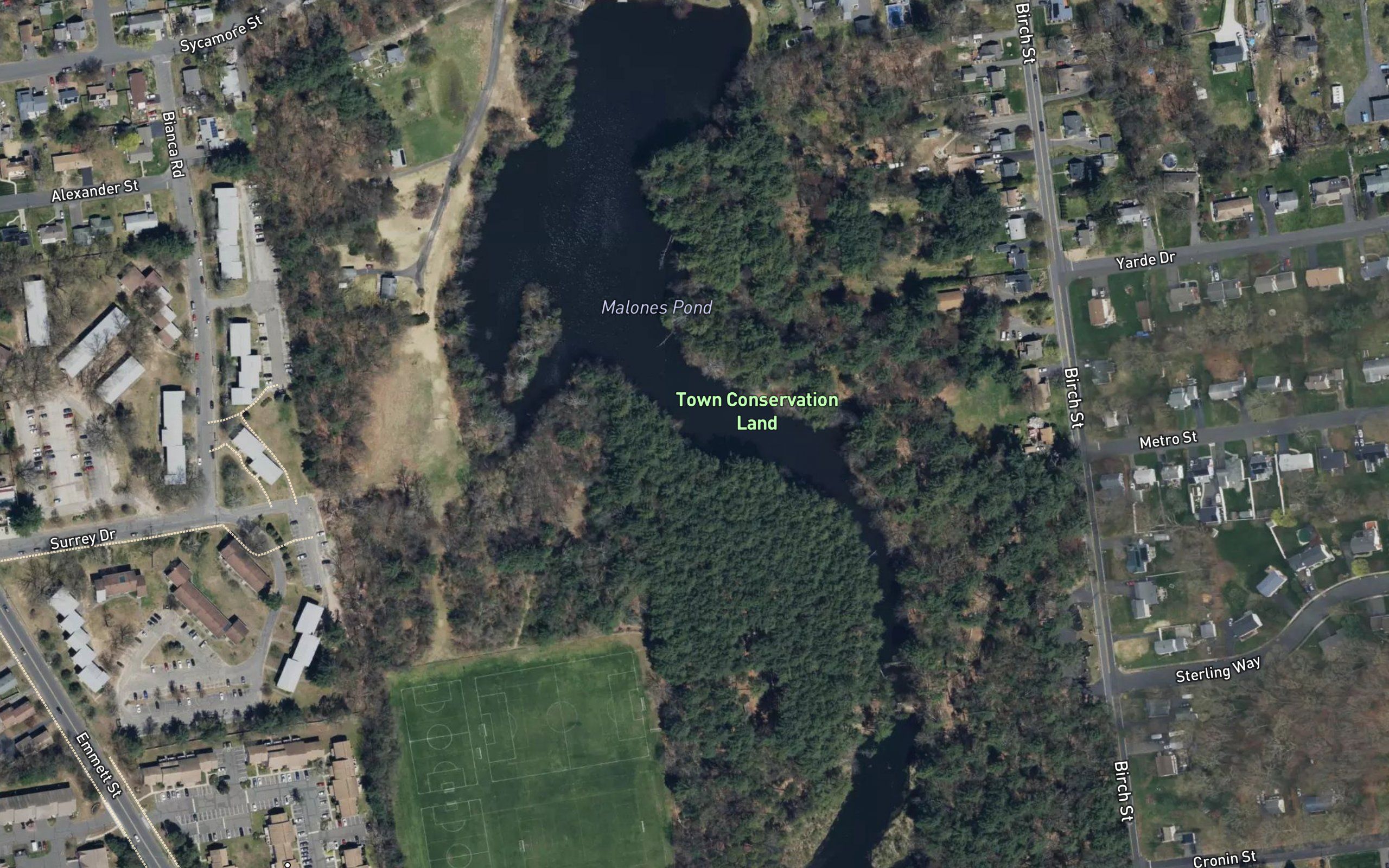 Malones Pond
