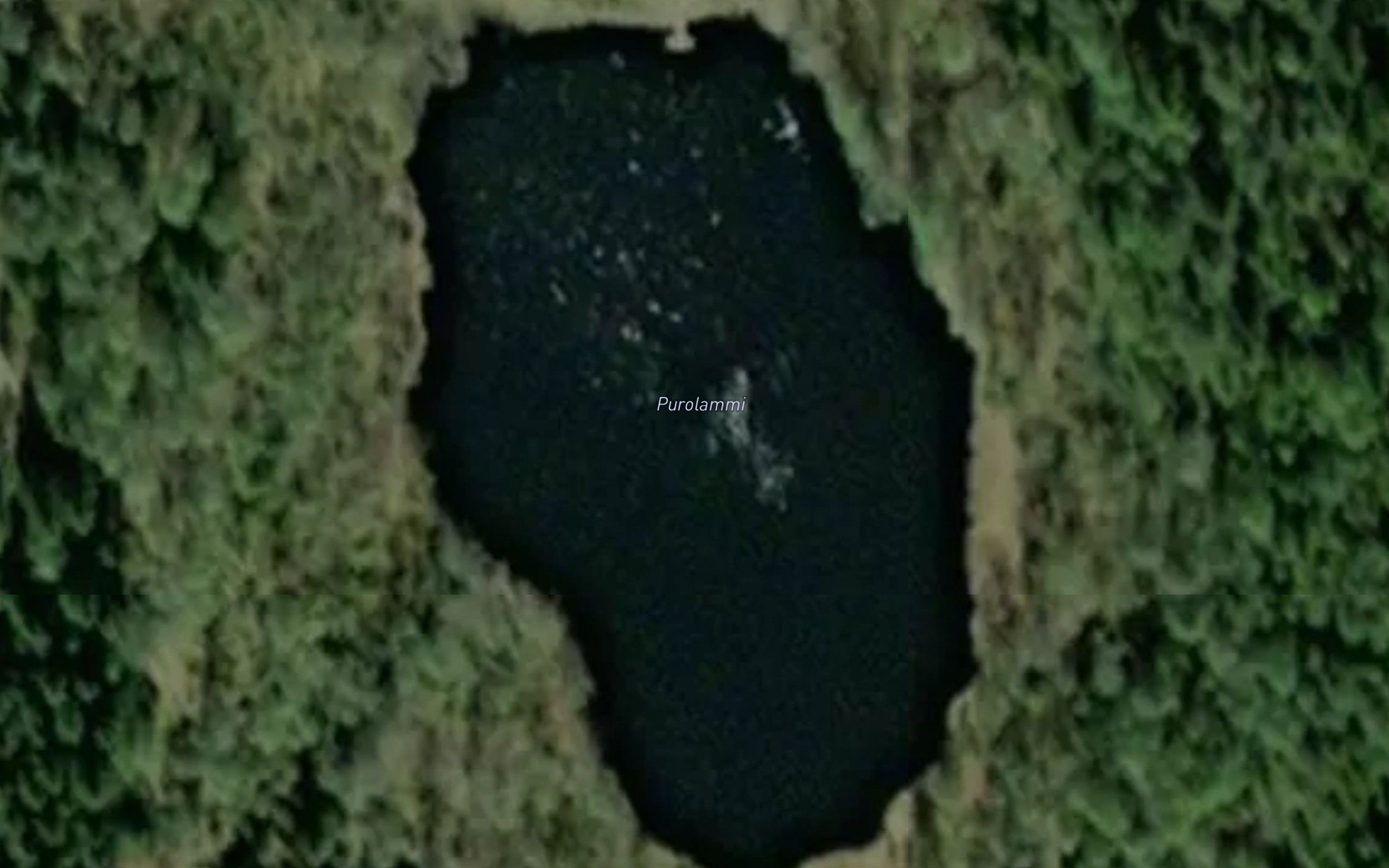 Puurolammi