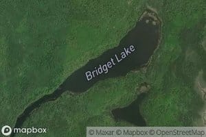 Bridget Lake