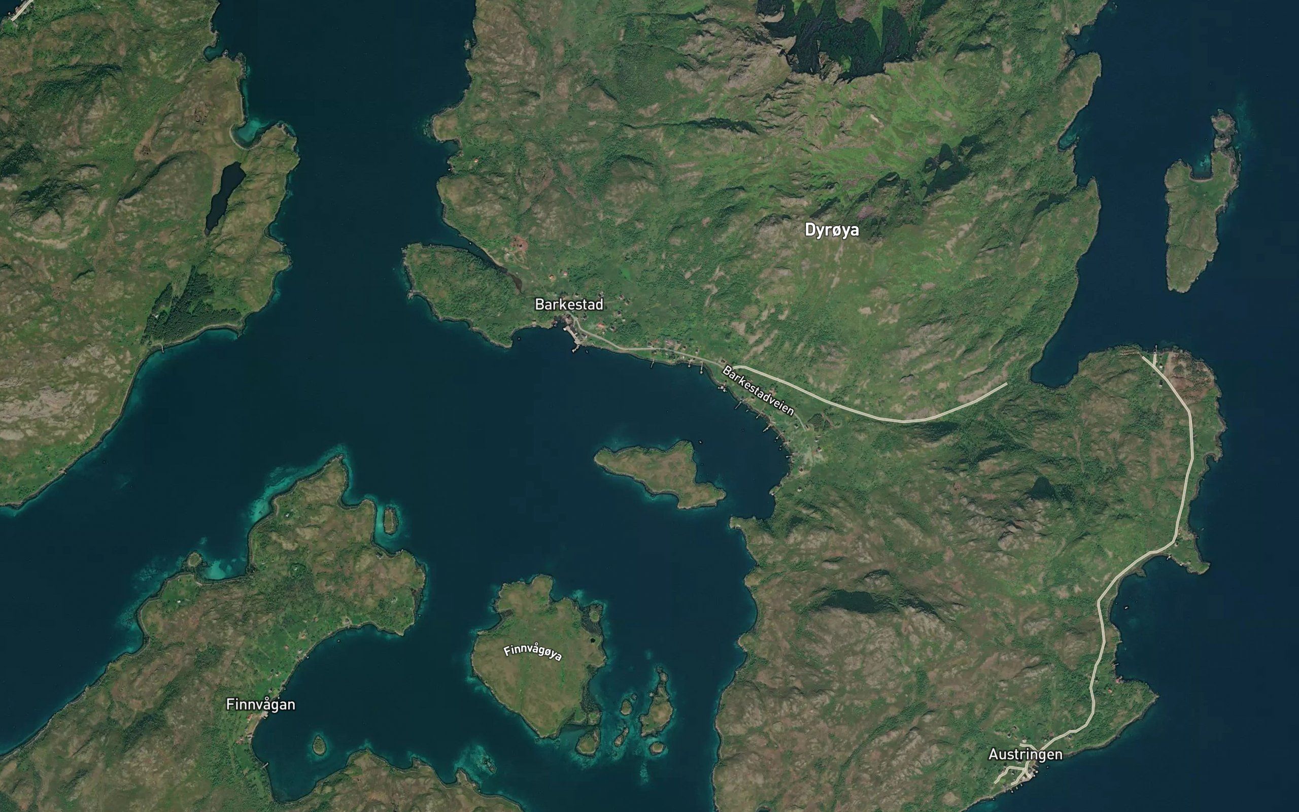 Dyroybukta