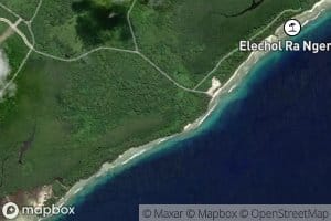 South Mangrove Swamp East