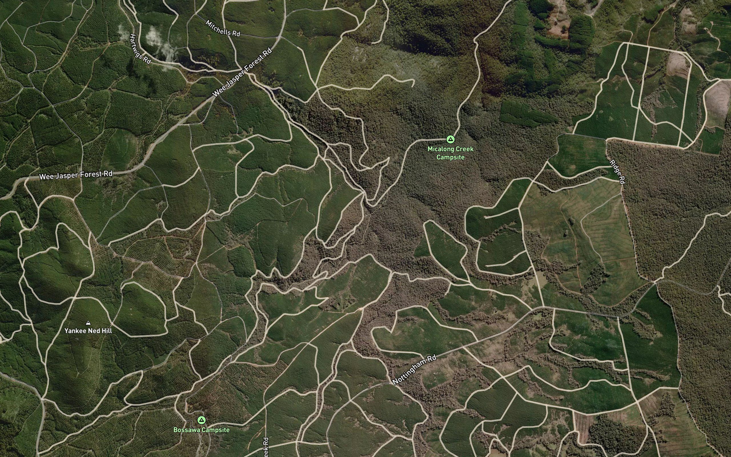 Pheasant Gully