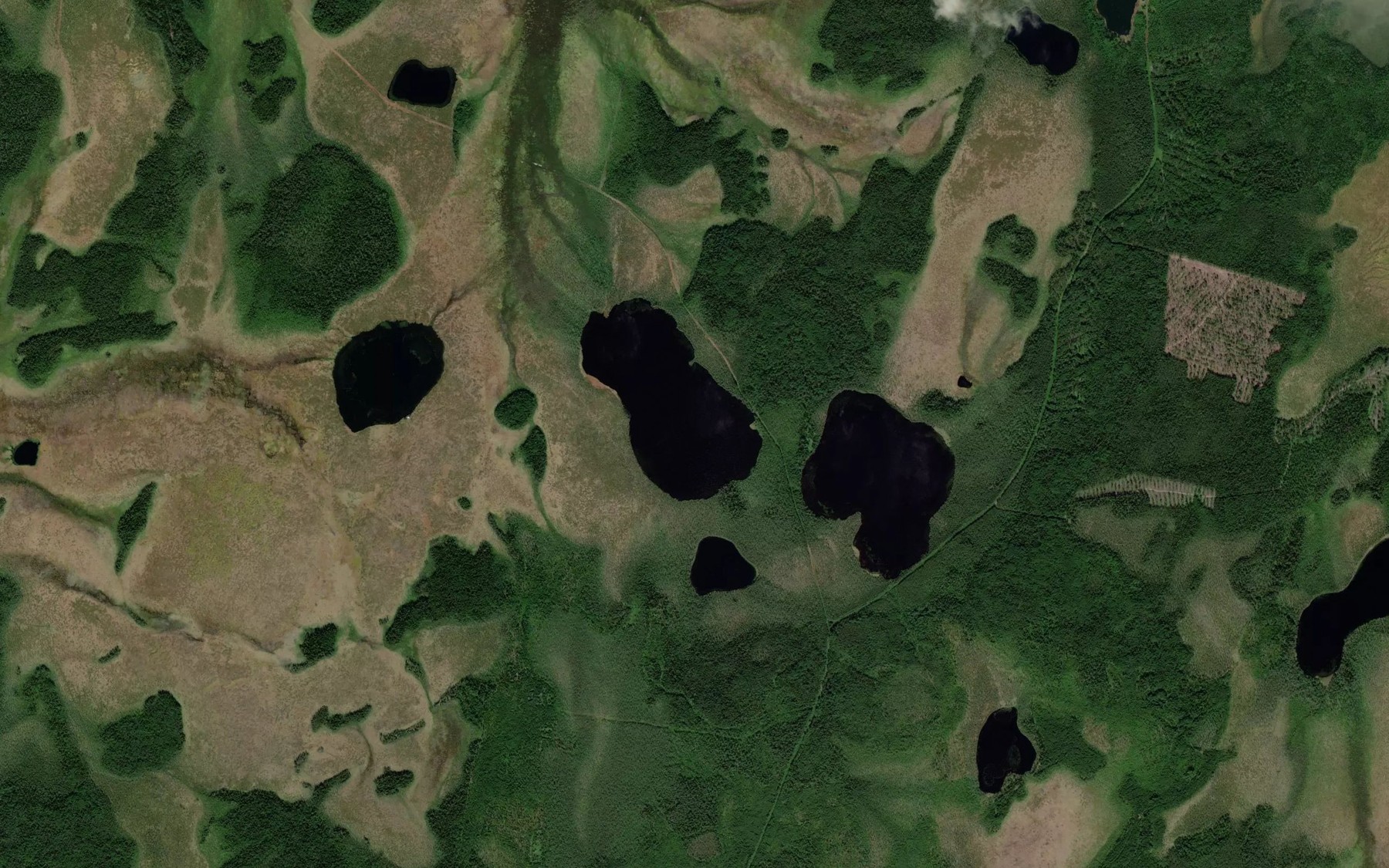 Satellite map of the Ozero Zadneye