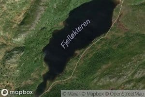 Fjellokteren
