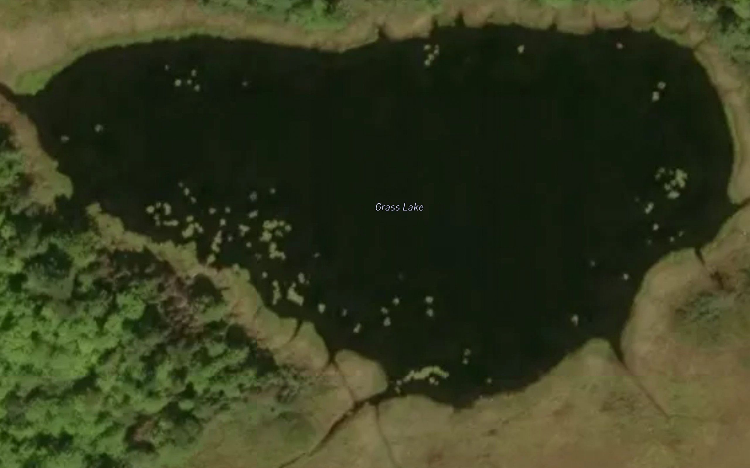 Grass Lake