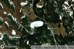 Grastjernet