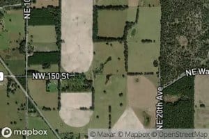 Crabgrass Pond