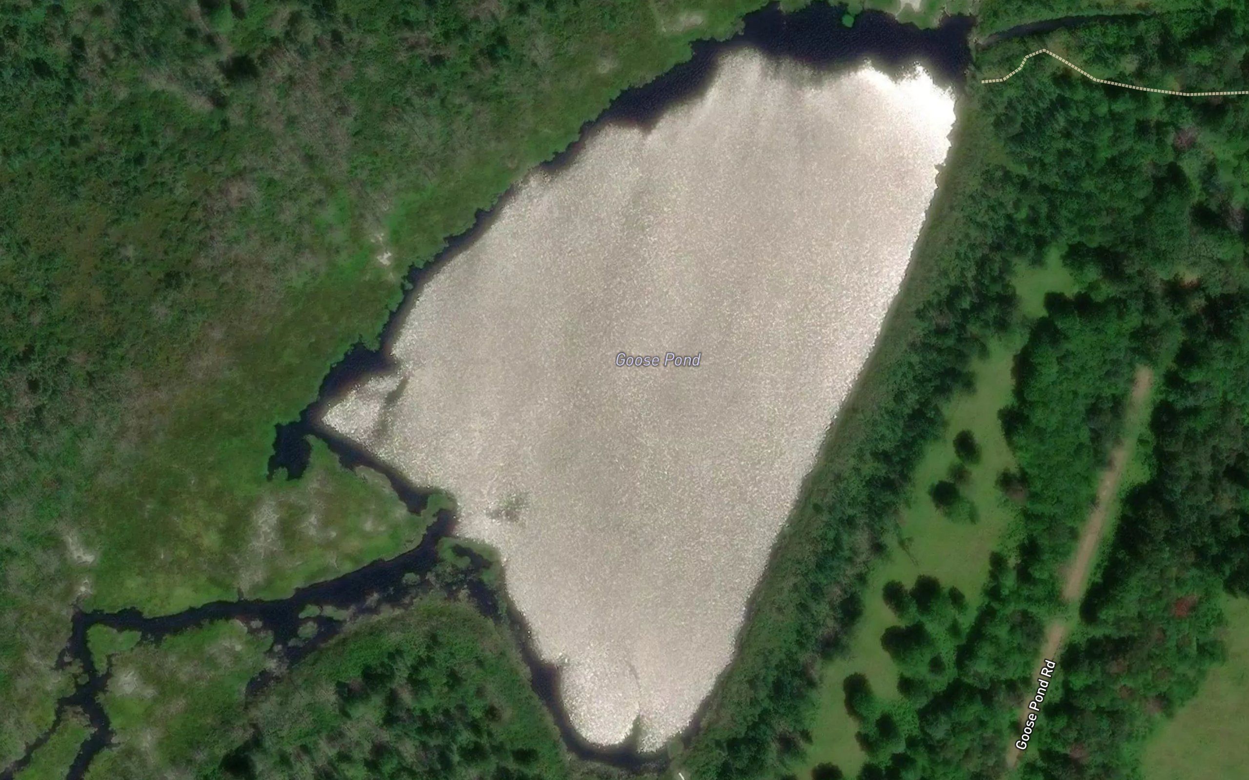 Goose Pond