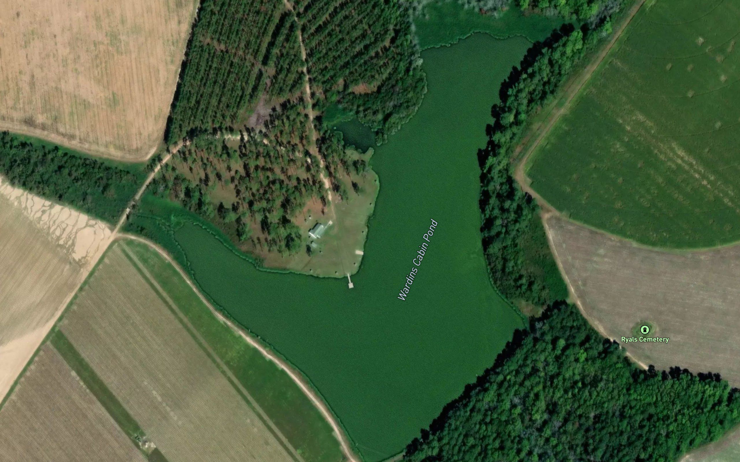 Wardins Cabin Pond