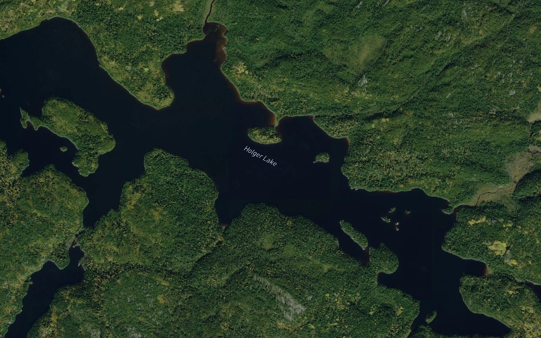 Satellite map of the Holger Lake