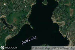 Bird Lake