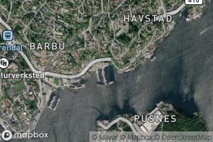 Kuviga