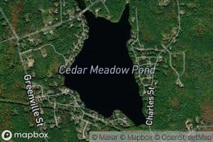 Cedar Meadow Pond