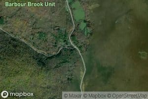 Barbour Brook