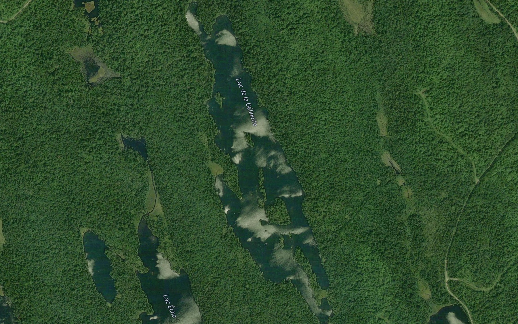 Satellite map of the Lac de la Gelinotte