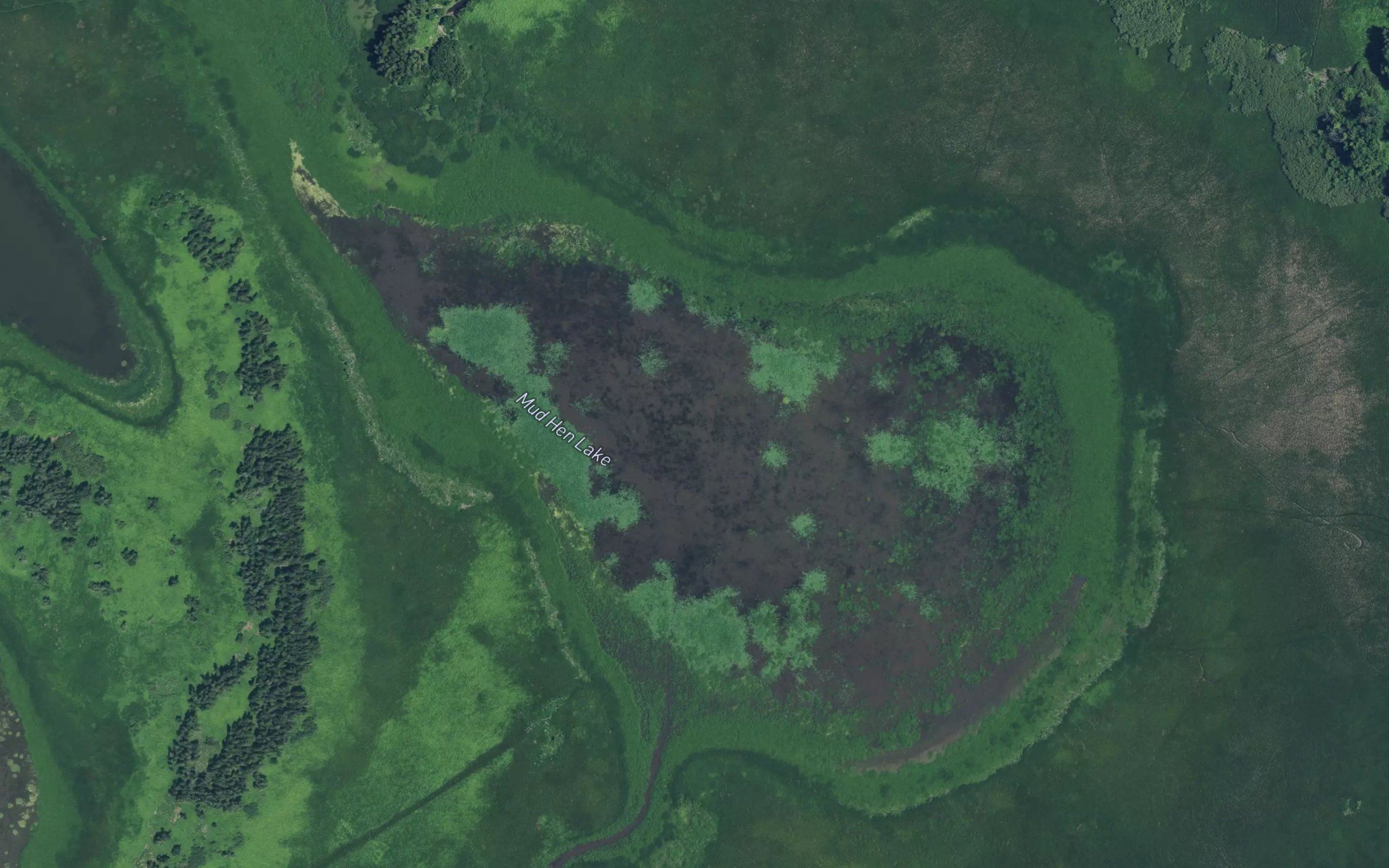 Mud Hen Lake