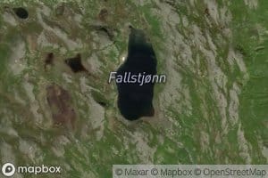 Fallstjorn